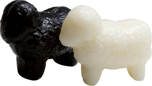 Sheep's Milk Soap