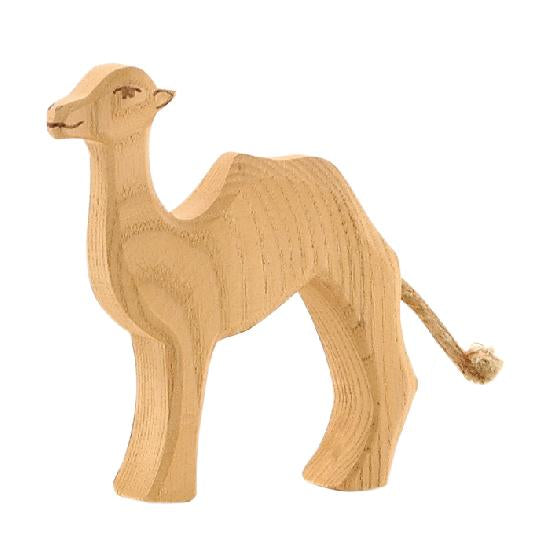 Small Camel