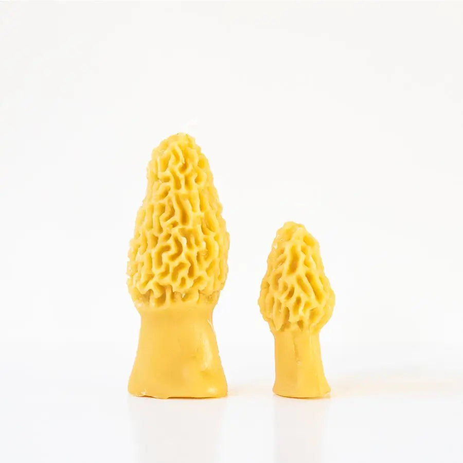Morel Mushroom Beeswax Candle 2-Pack