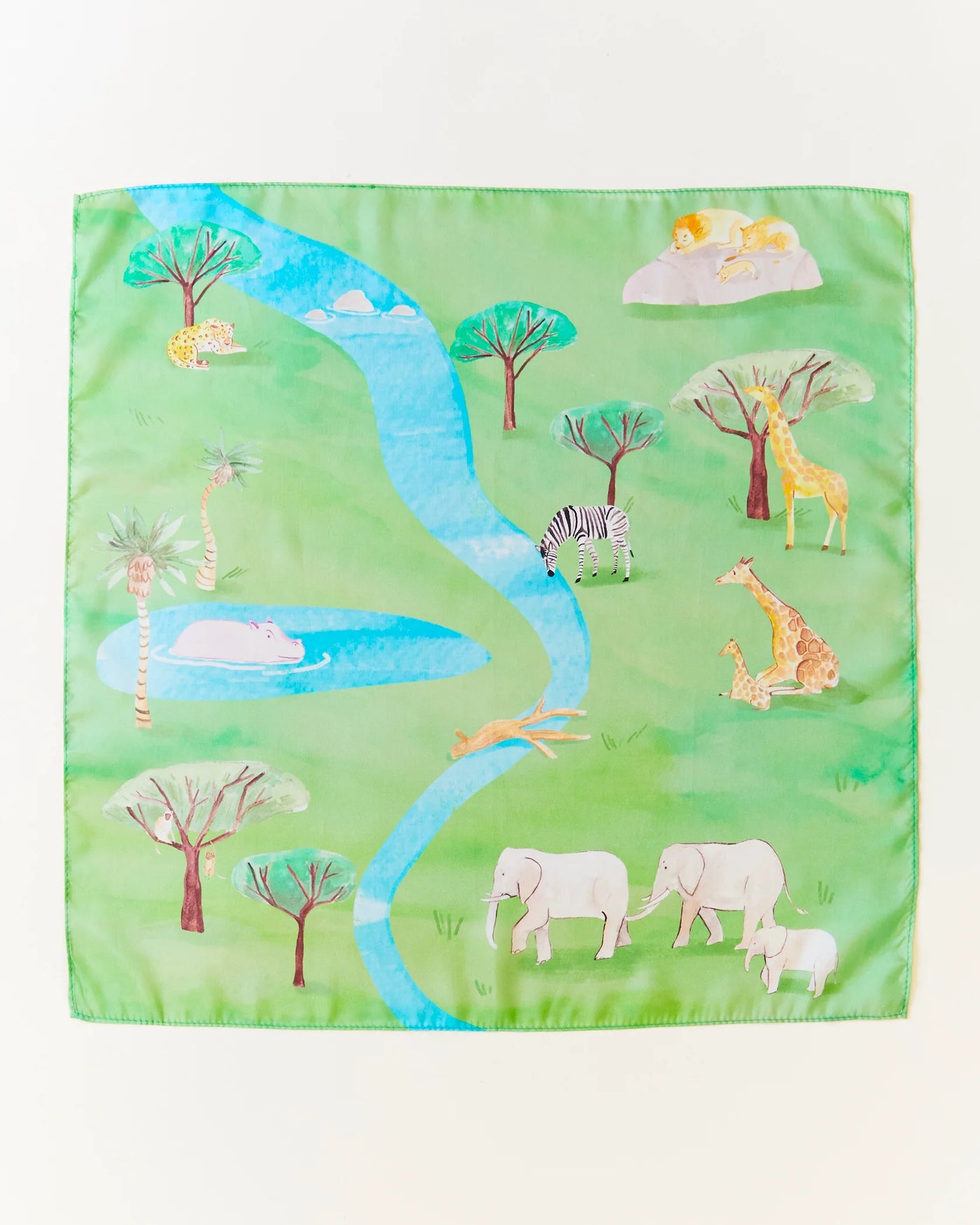 Mini Safari Playmap