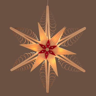 Red Electric Window Star