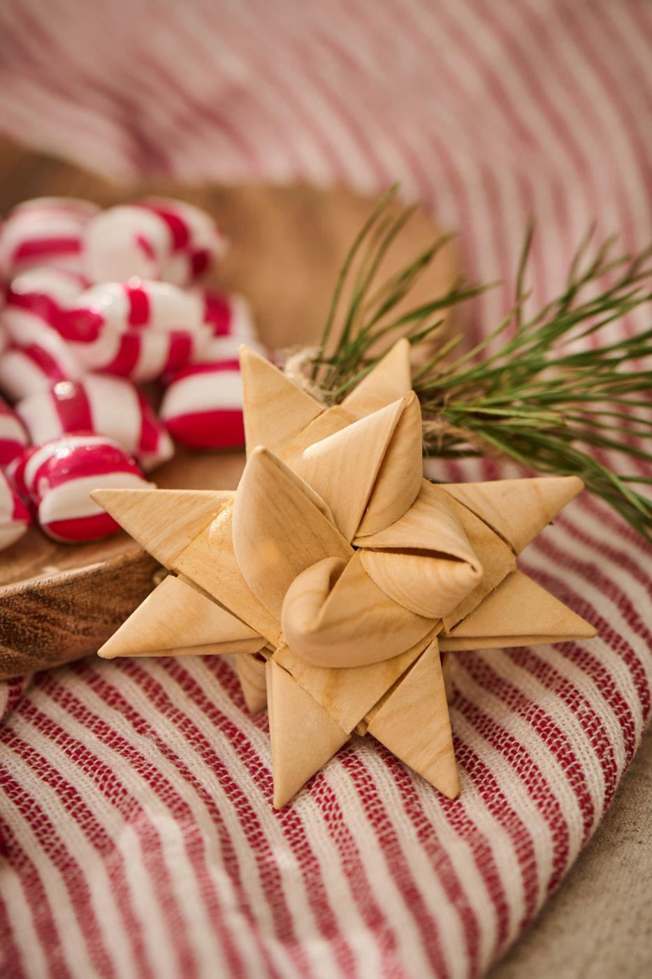 Hanging Star - Braided Wood Chip Ornament
