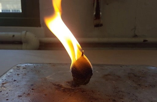 Pinecone Fire Starters