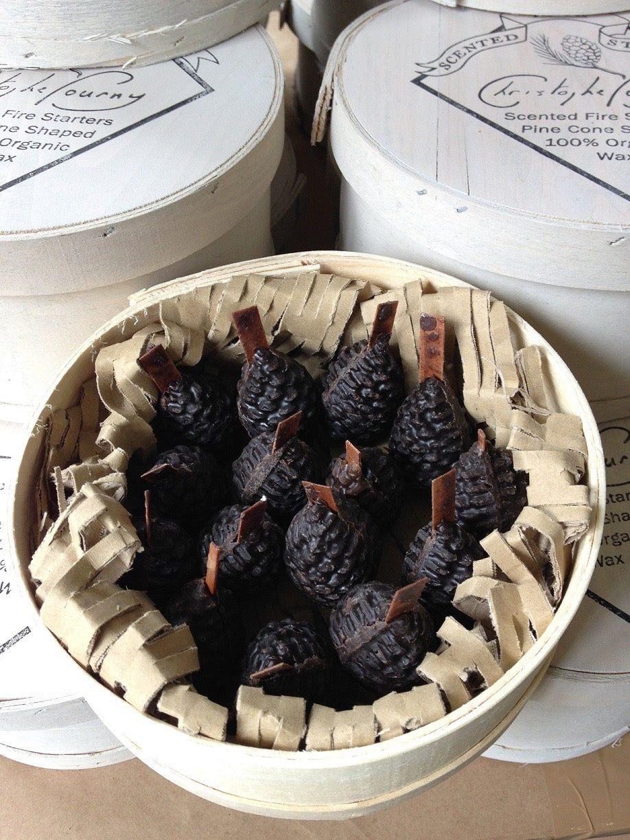 Pinecone Fire Starters