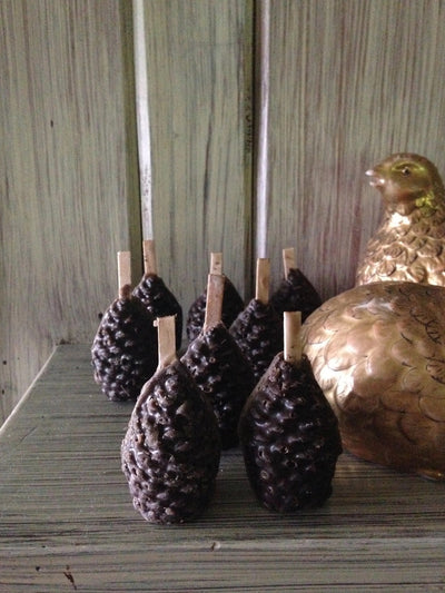 Pinecone Fire Starters