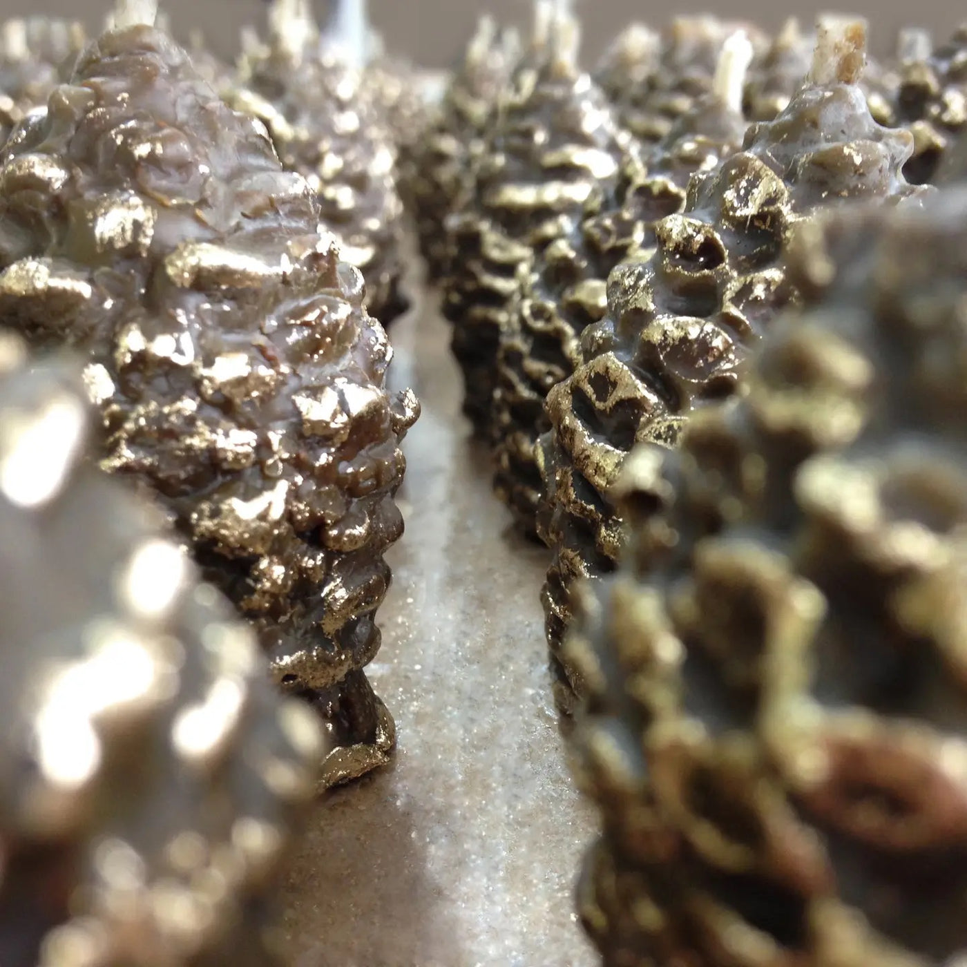 Party Starter Pinecone Party Starters