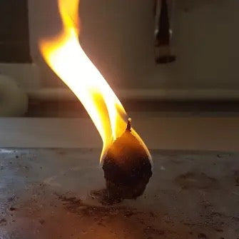 Party Starter Pinecone Party Starters