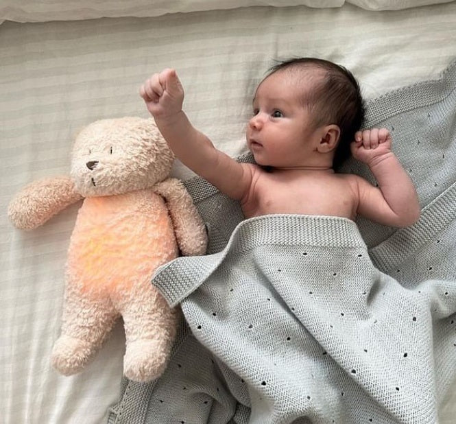 Moonie 2.0 Organic Humming Bear with Lamp - Rose