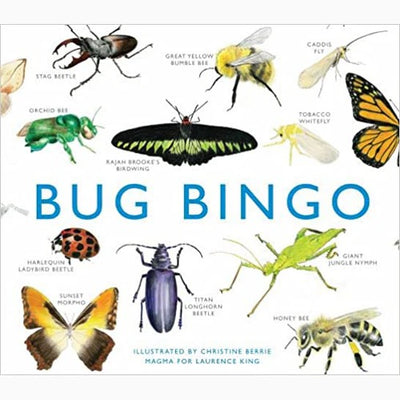 Bug Bingo