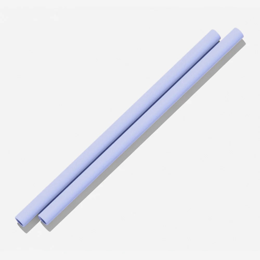 Silicone Straws, 2-Pack - Iris