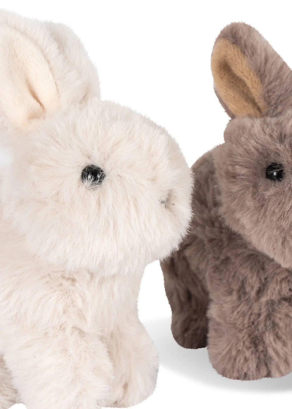 Bunny Love
