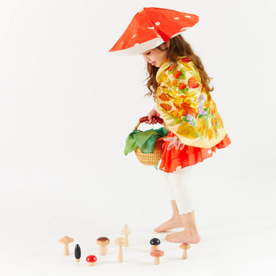 Mushroom Seek and Find Playsilk