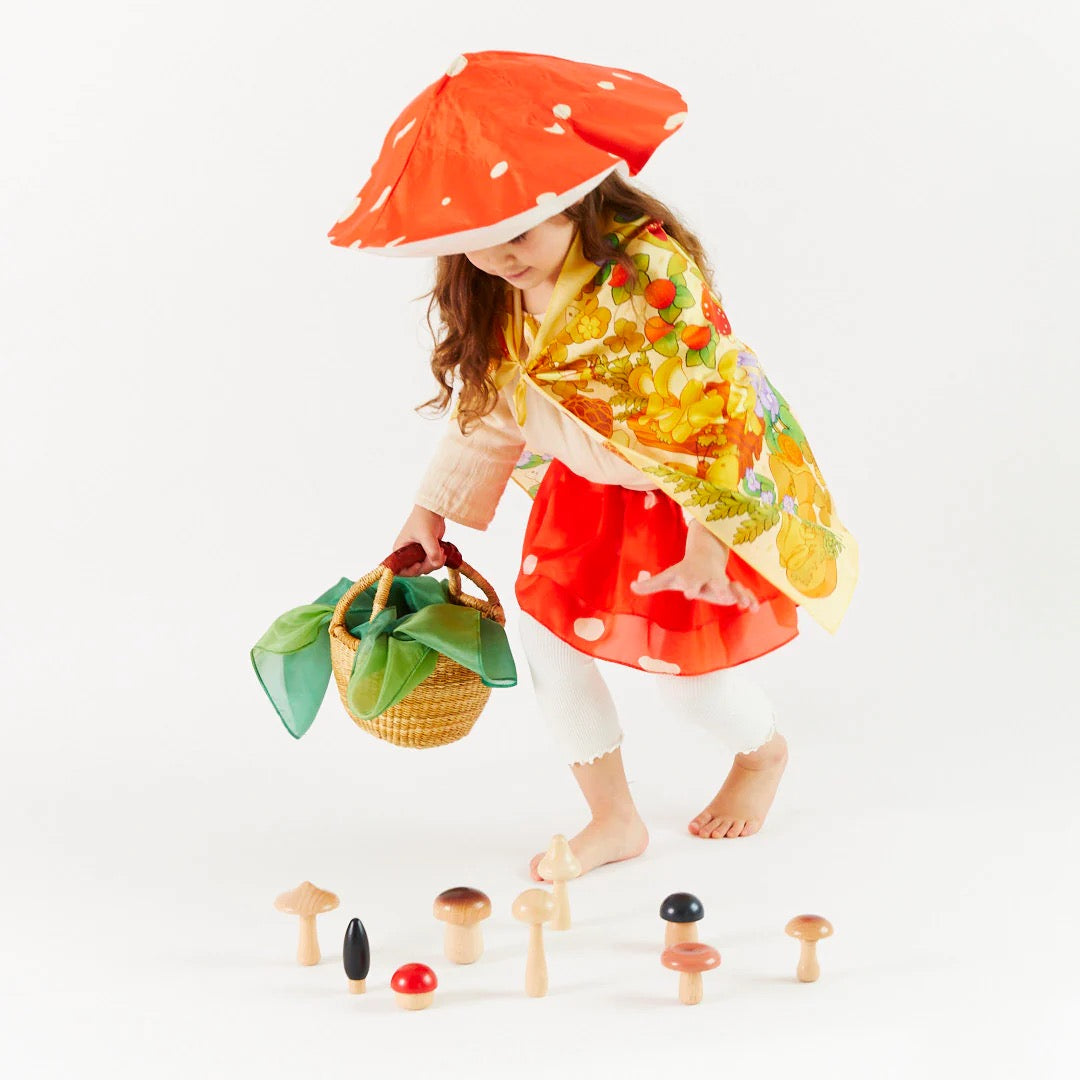 Mushroom Seek and Find Playsilk