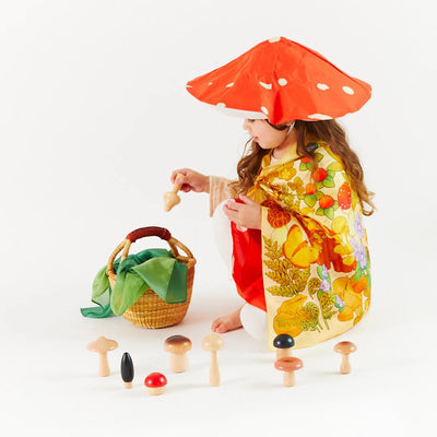 Mushroom Seek and Find Playsilk