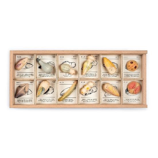 Wood Wild 12ps with Tray