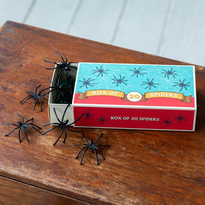 Box of Twenty Spiders