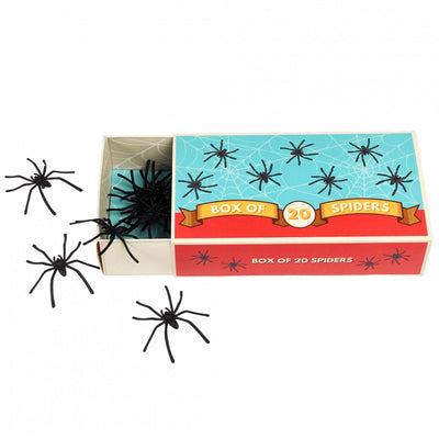 Box of Twenty Spiders