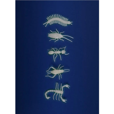 Petites Merveilles - Glow-in-the-Dark Insects