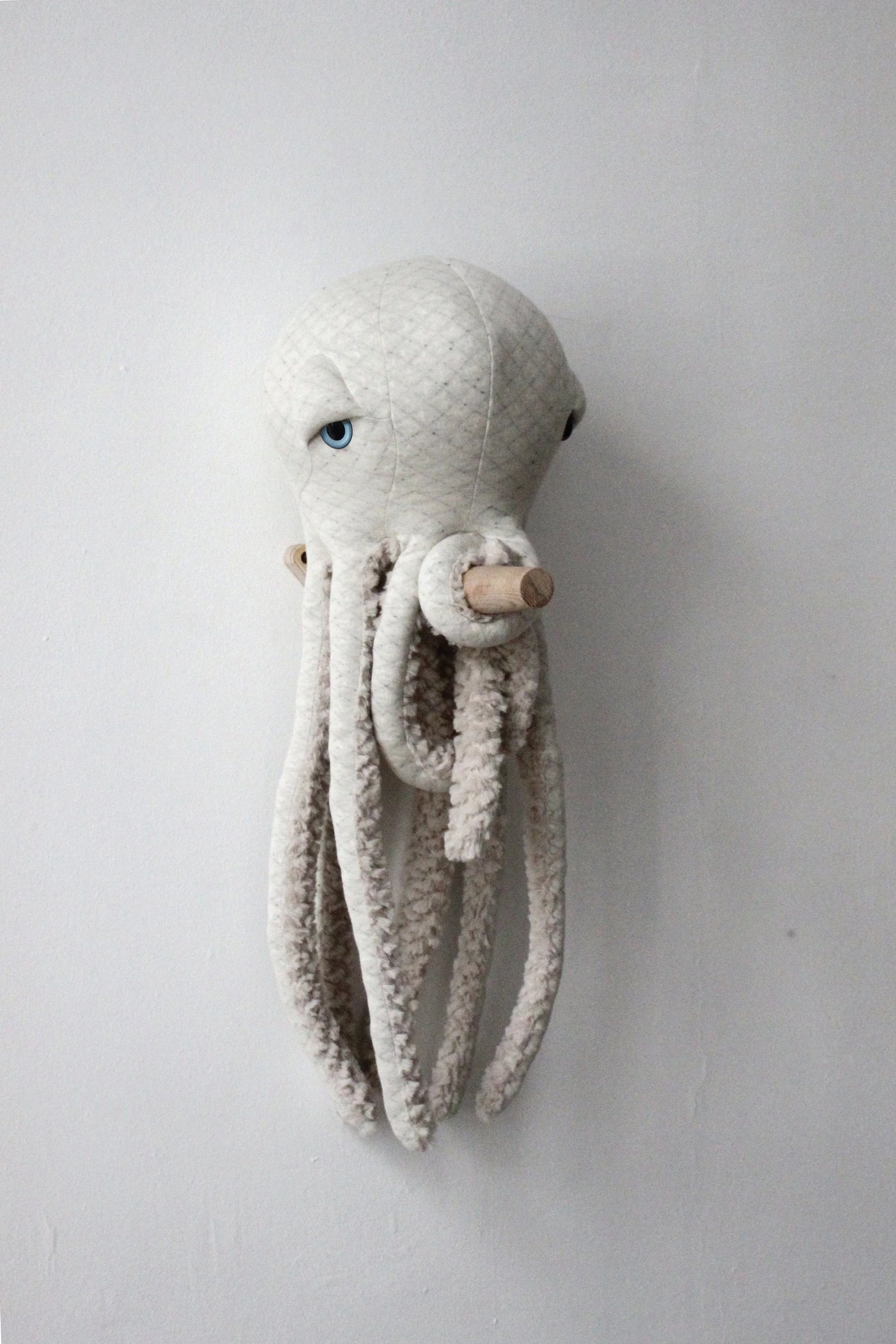 Small Albino Octopus