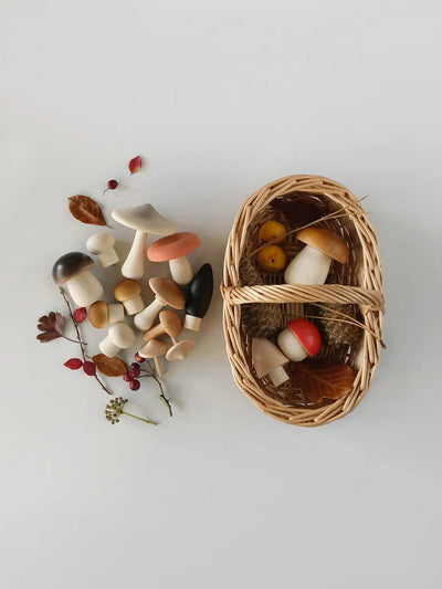 Forest Mushrooms Basket